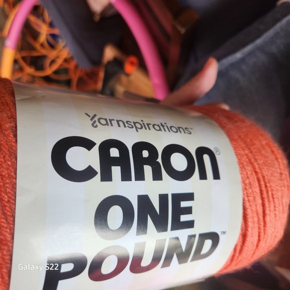 Caron Other Yarnspirations Caron One Pound Light Terracotta Ww22784